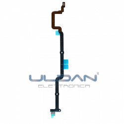 Cavo scheda madre tasto...