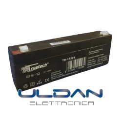 Batteria al piombo TRUSTECH...
